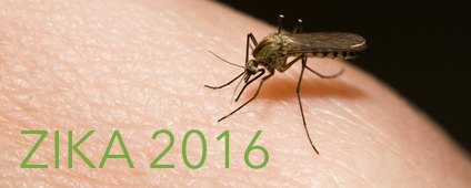 ZIKA Virus 2016 AVIS